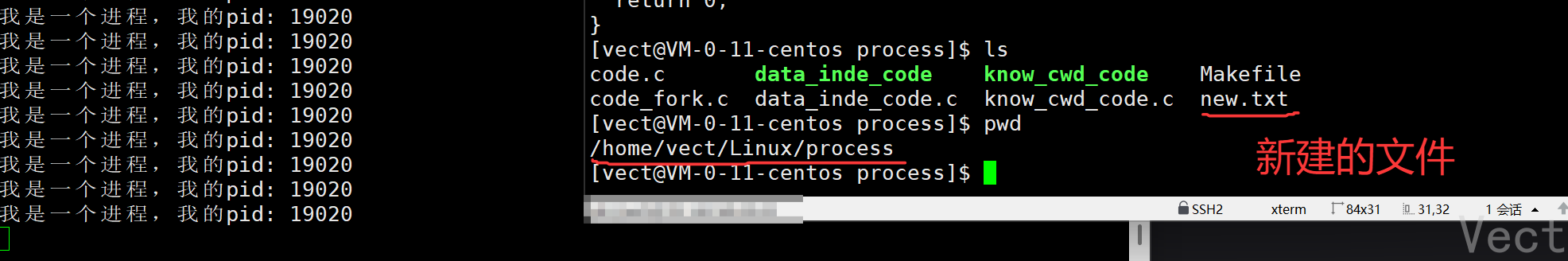 image-20251218193155629