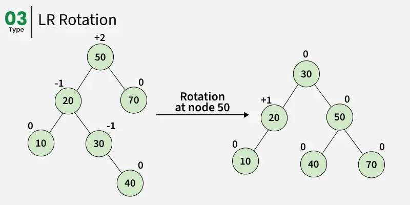 right_left_rotation_29.webp