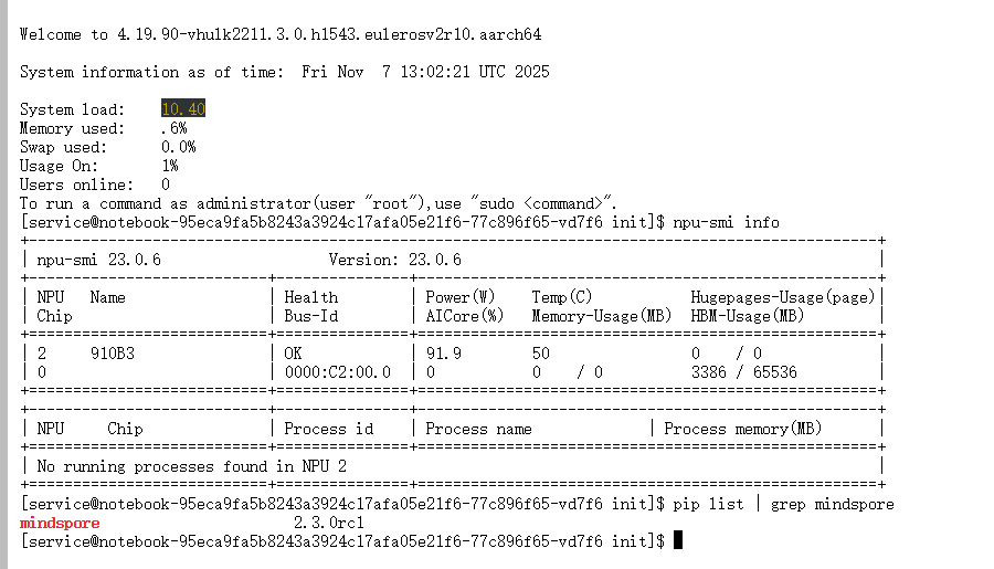 终端执行npu-smi info和pip list | grep mindspore命令后的输出结果