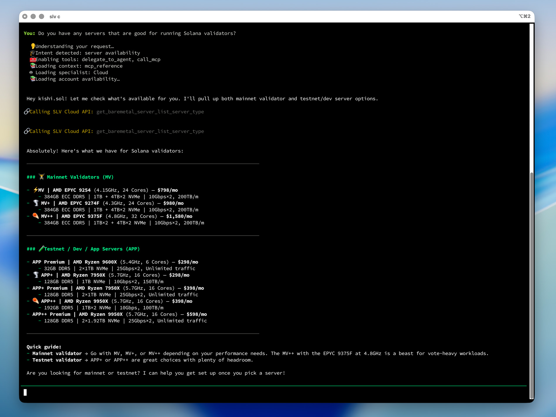 通过 slv c 向 AI agent 询问 validator 服务器