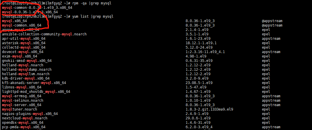 Doris3.0.1安装_java_13