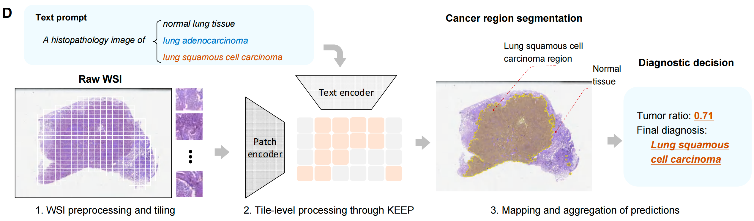 怎么买病理图文上海交大医工交叉团队在Nature与Cancer Cell连发两篇文章，均指向罕见病诊断难题_https://www.jmylbn.com_新闻资讯_第7张