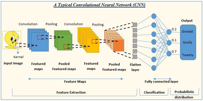 PyTorch 卷积神经网络_pytorch目标检测卷积网络-CSDN博客