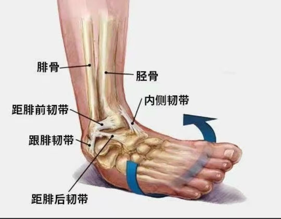 外链图片转存失败,源站可能有防盗链机制,建议将图片保存下来直接上传