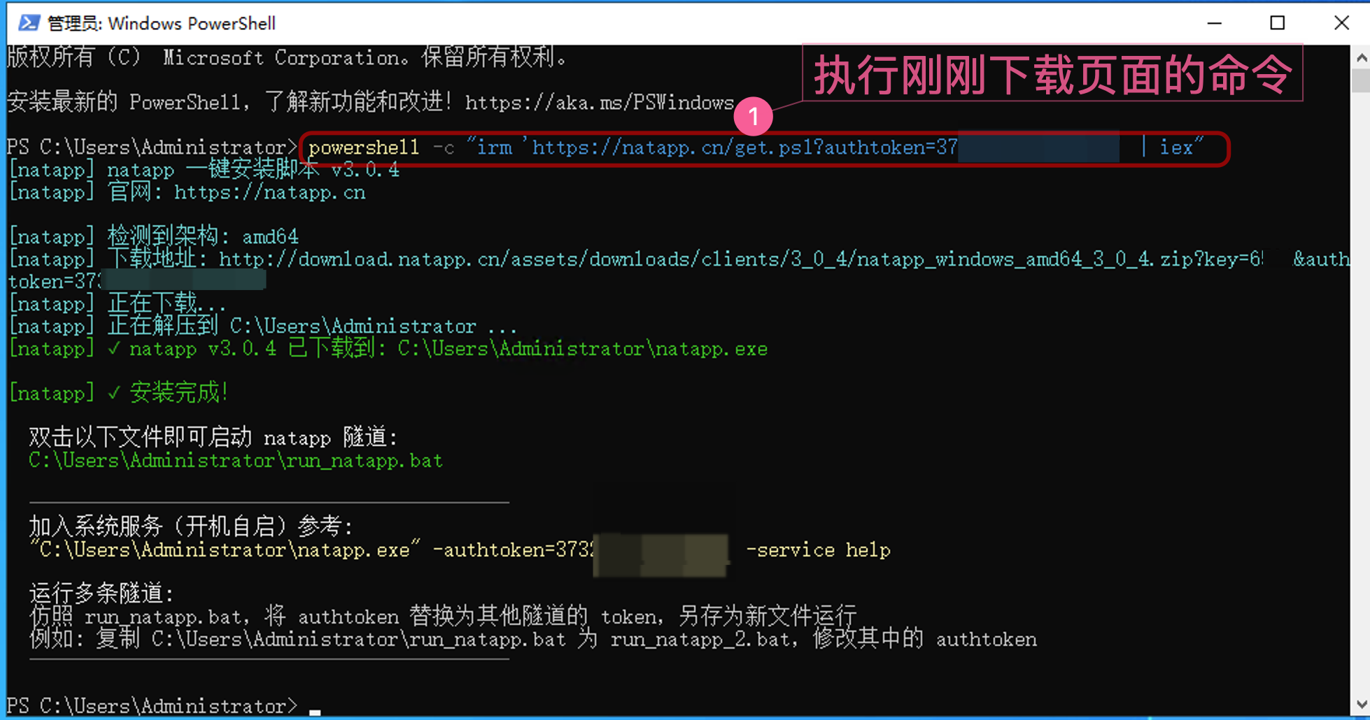 Windows 命令行一键安装 Natapp 客户端