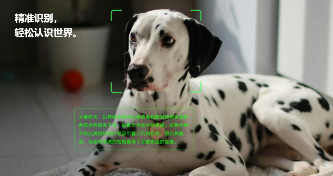ab4d173547169fd2bf40c6b0769faeb6.png