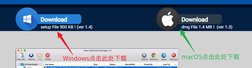 下载神器NDM(Neat Download Manager)安装配置教程(适用于Windows和macOS)