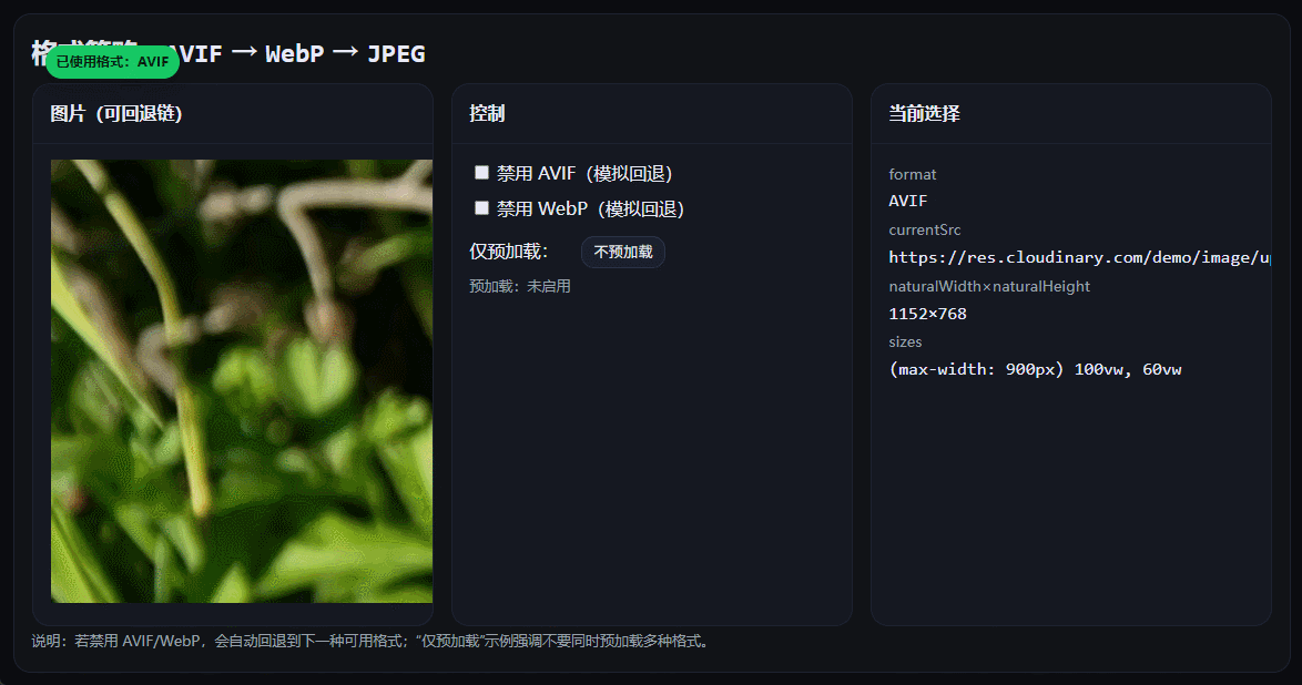 AVIF-WebP-JPEG