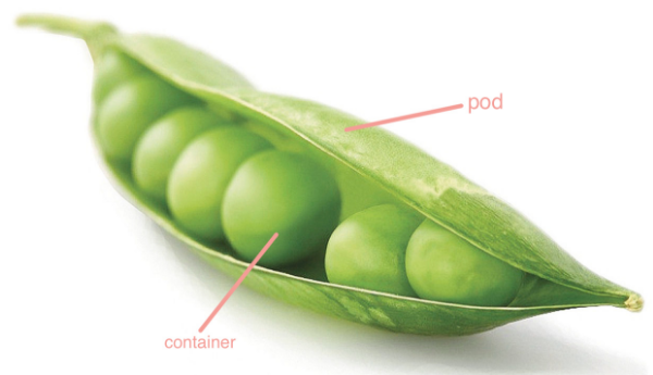 pod图