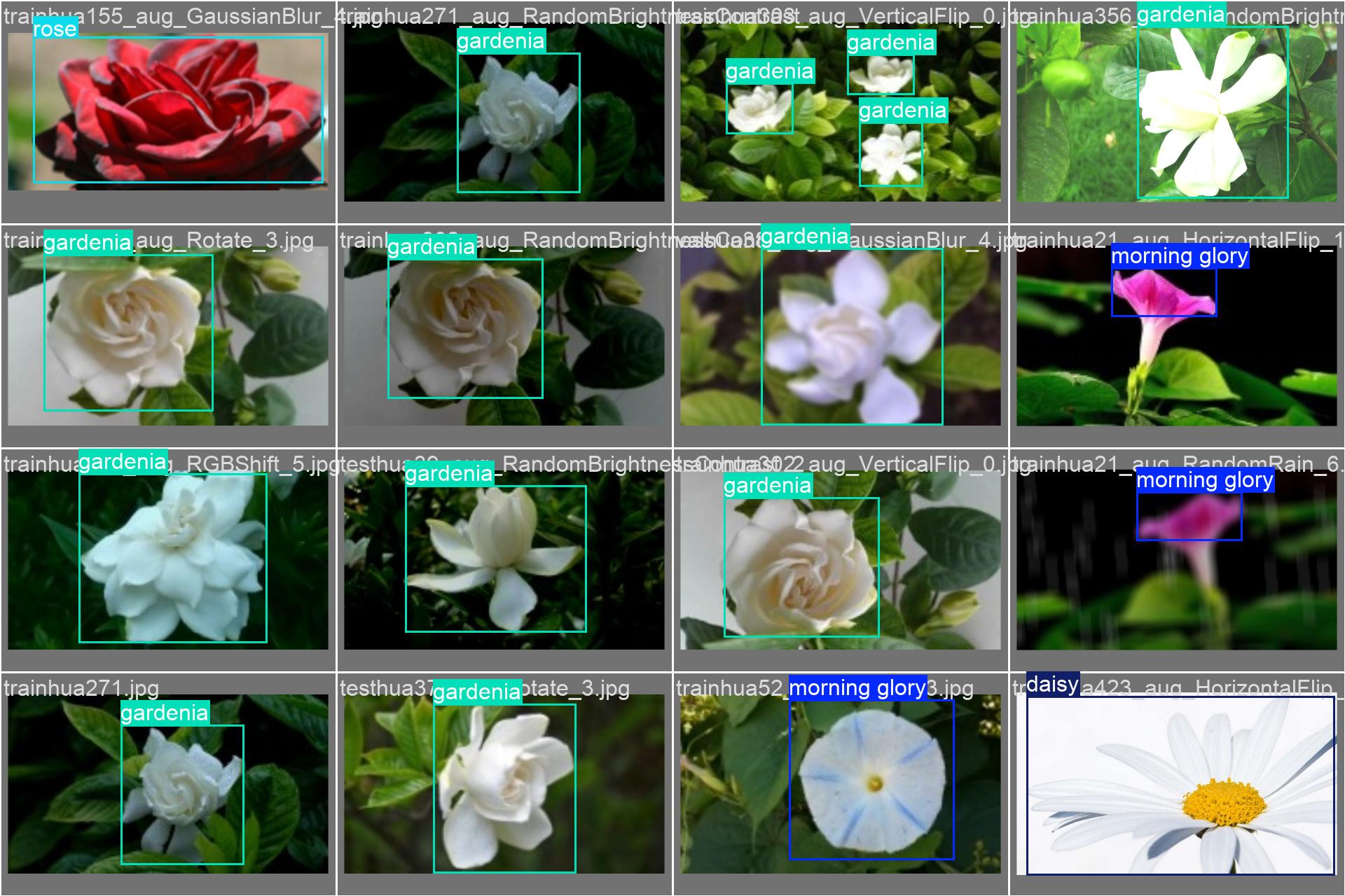 66_flower_det-val_batch0_labels.jpg