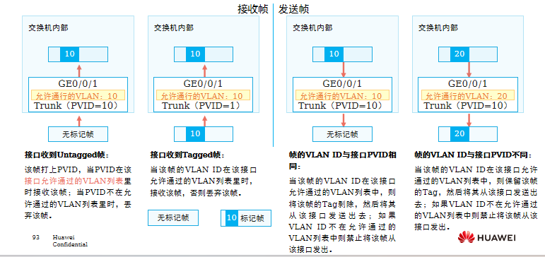 Trunk接口