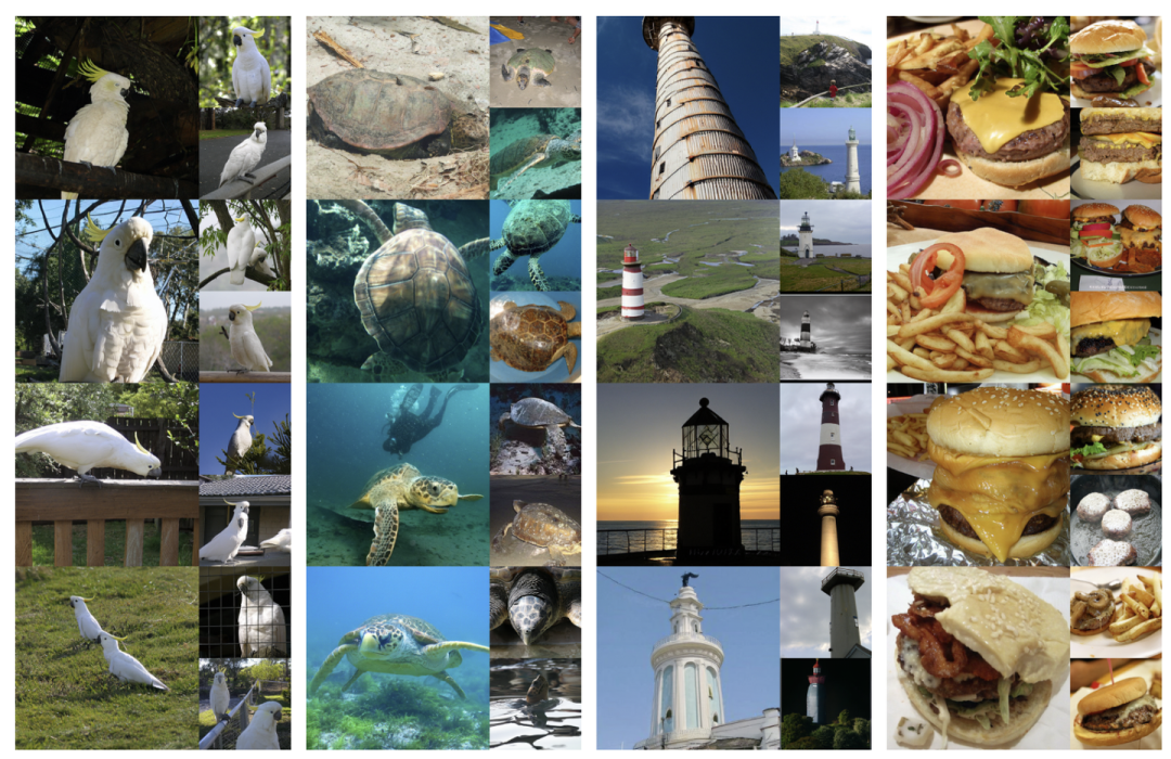 图13:定性的采样结果,来自 512×512 模型,使用了 AutoGuidance