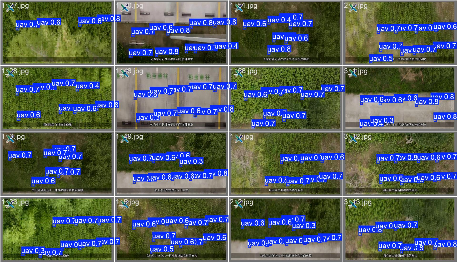 45-xin_val_batch1_pred