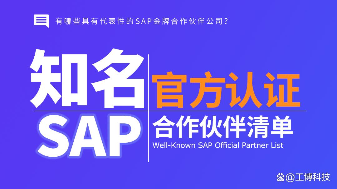 有哪些具有代表性的SAP金牌合作伙伴公司