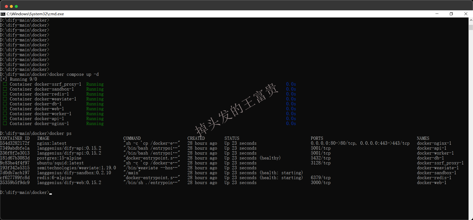 image-20250206191330412