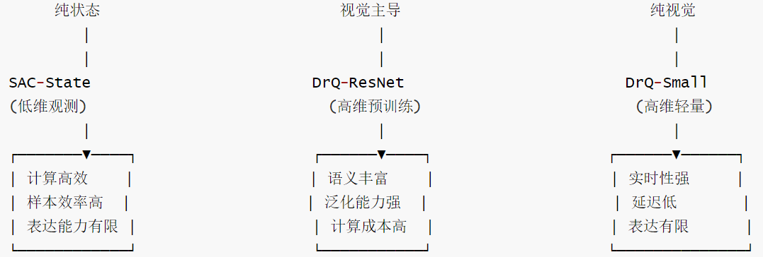 SERL-维度-3
