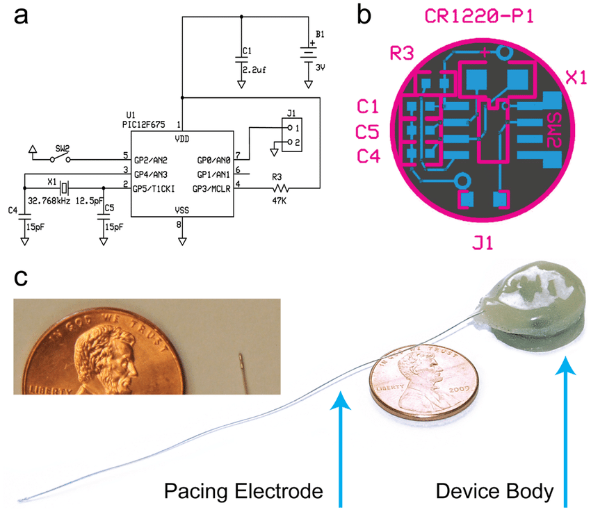 起搏器PCB布局