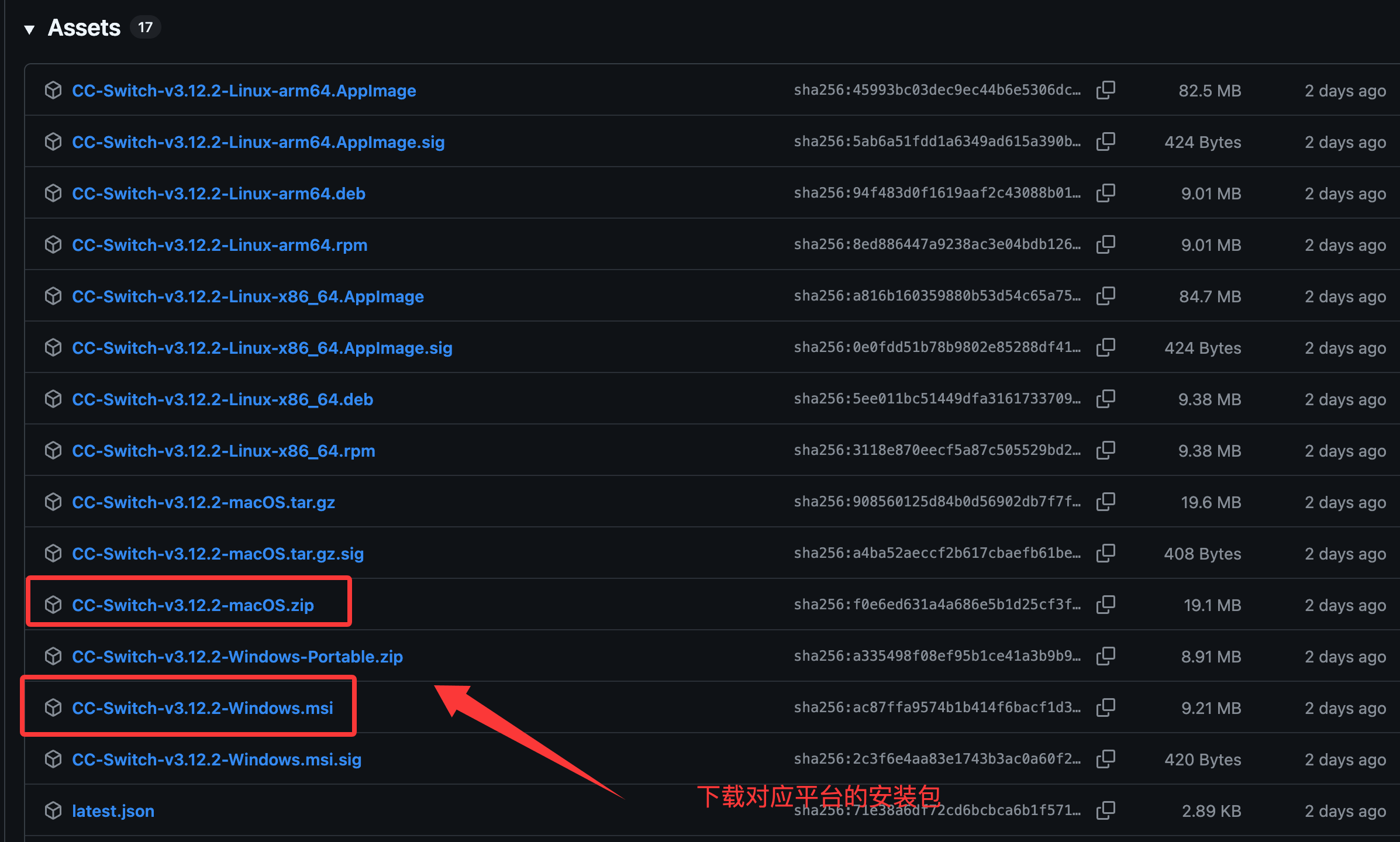 CC Switch 主界面