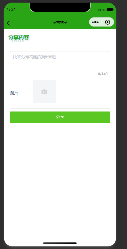 发布帖子页：编辑内容，发布分享帖子到论坛