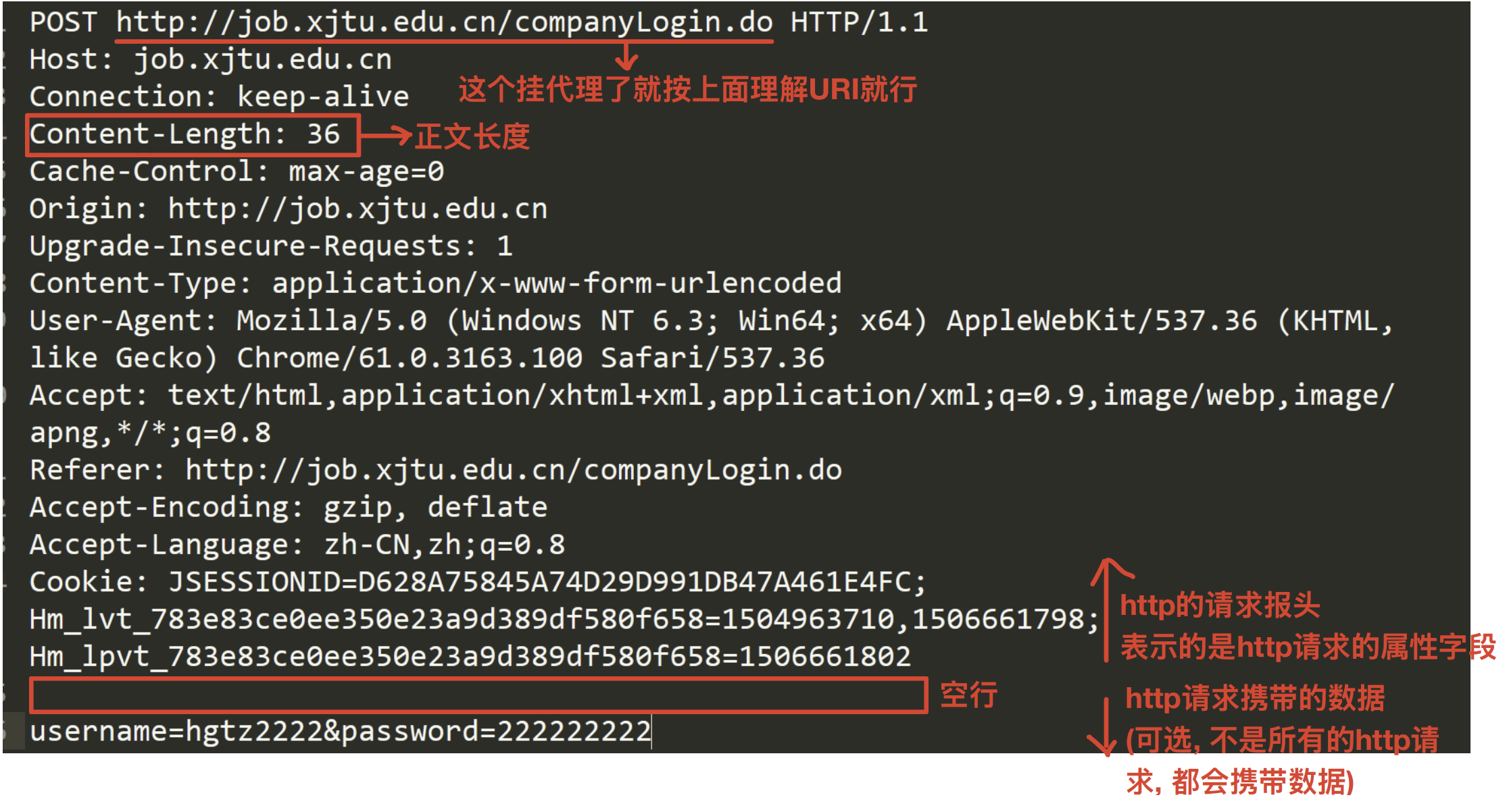image-20251102190555284