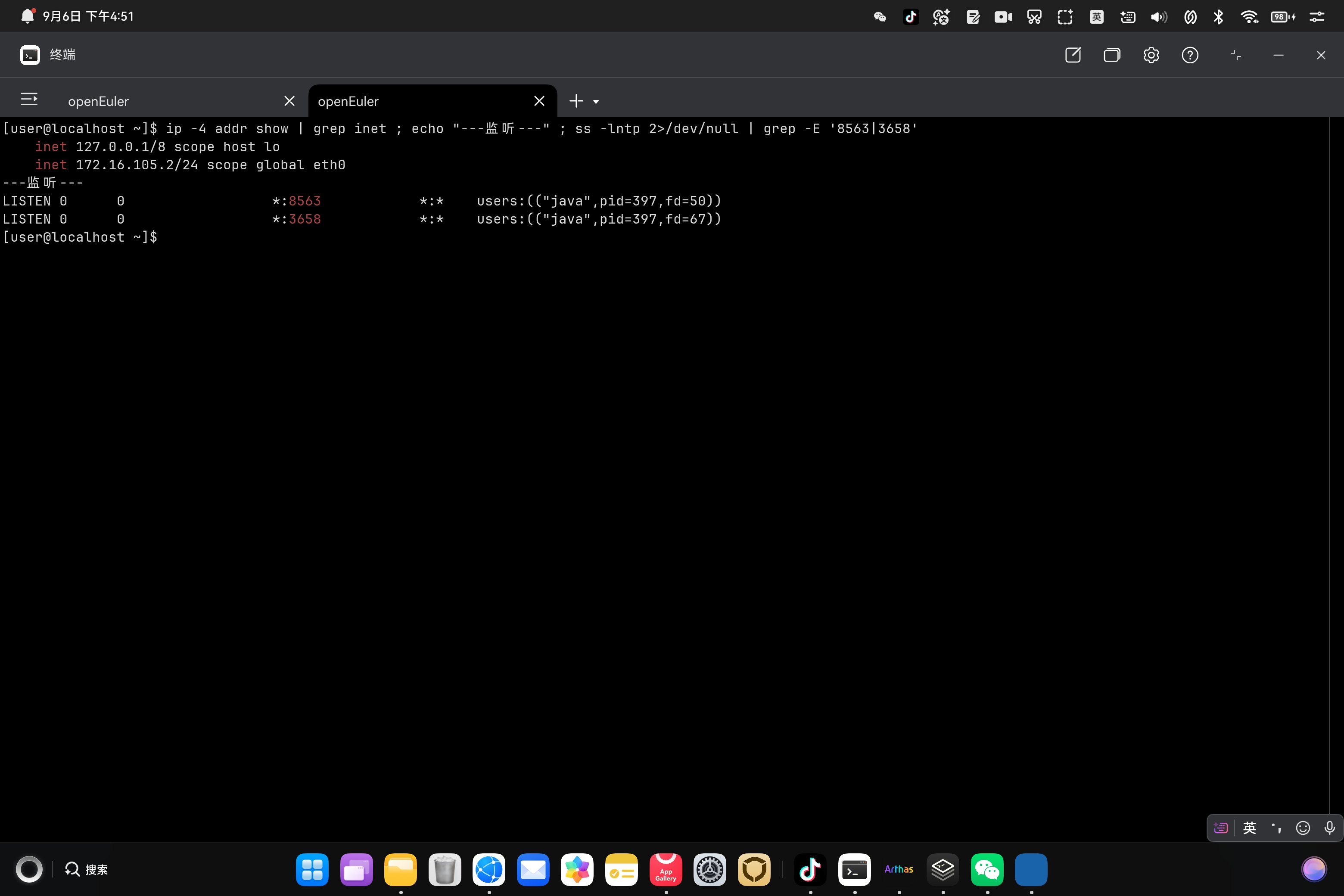 端口验证实录:netstat 确认 8563/3658 双端口监听