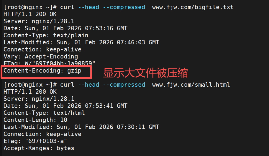 image-20260201155418181