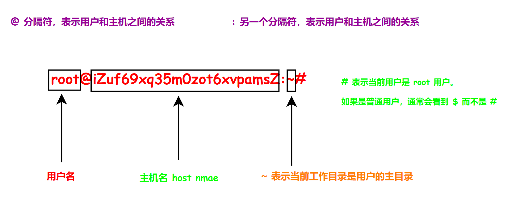 image-20250528220801266