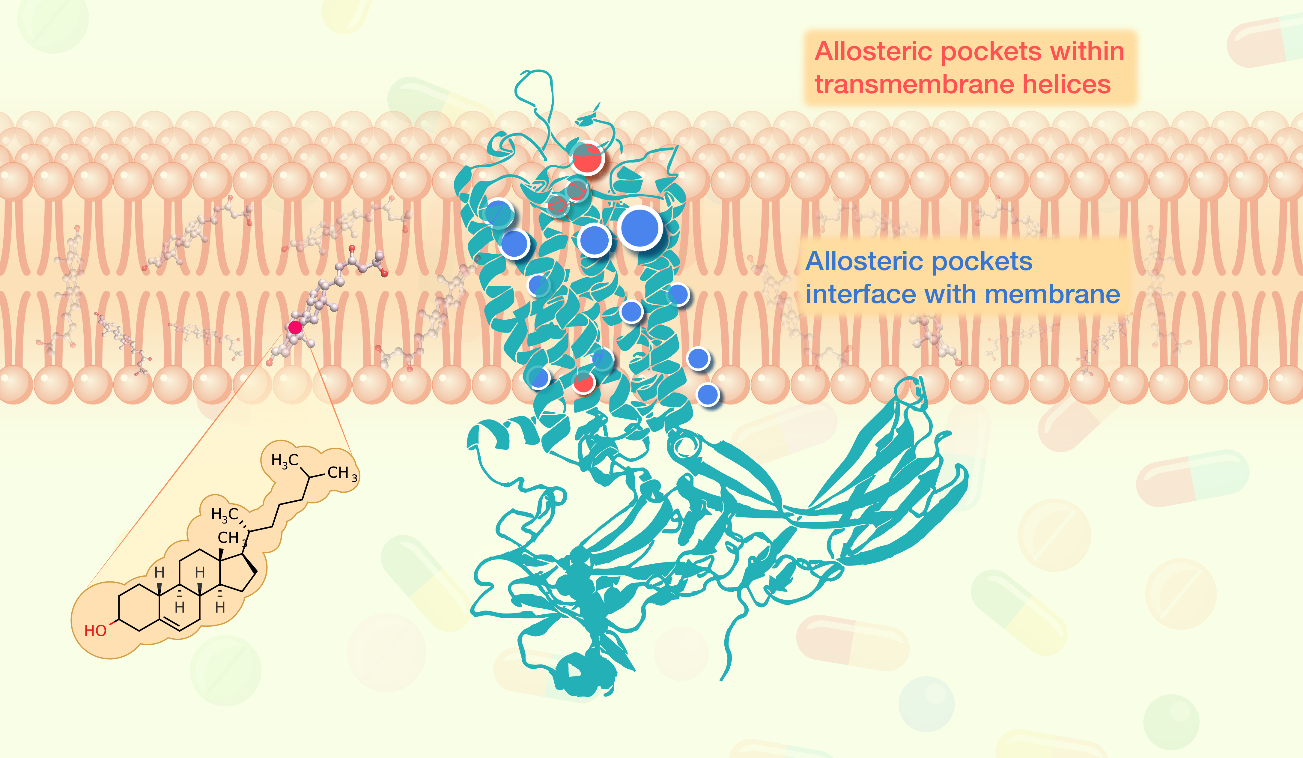 HLIFE-D-23-00043_黄牛_Review-0119_GA (2 column).jpg