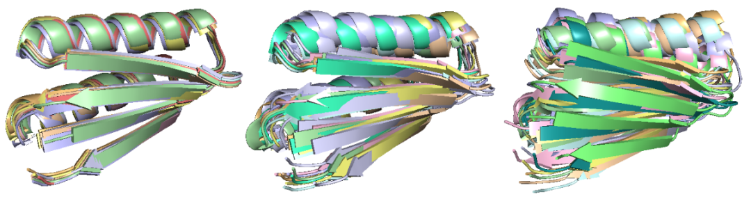 蛋白质设计(五)— — RFdiffusion官方教程解析之部分扩散-CSDN博客