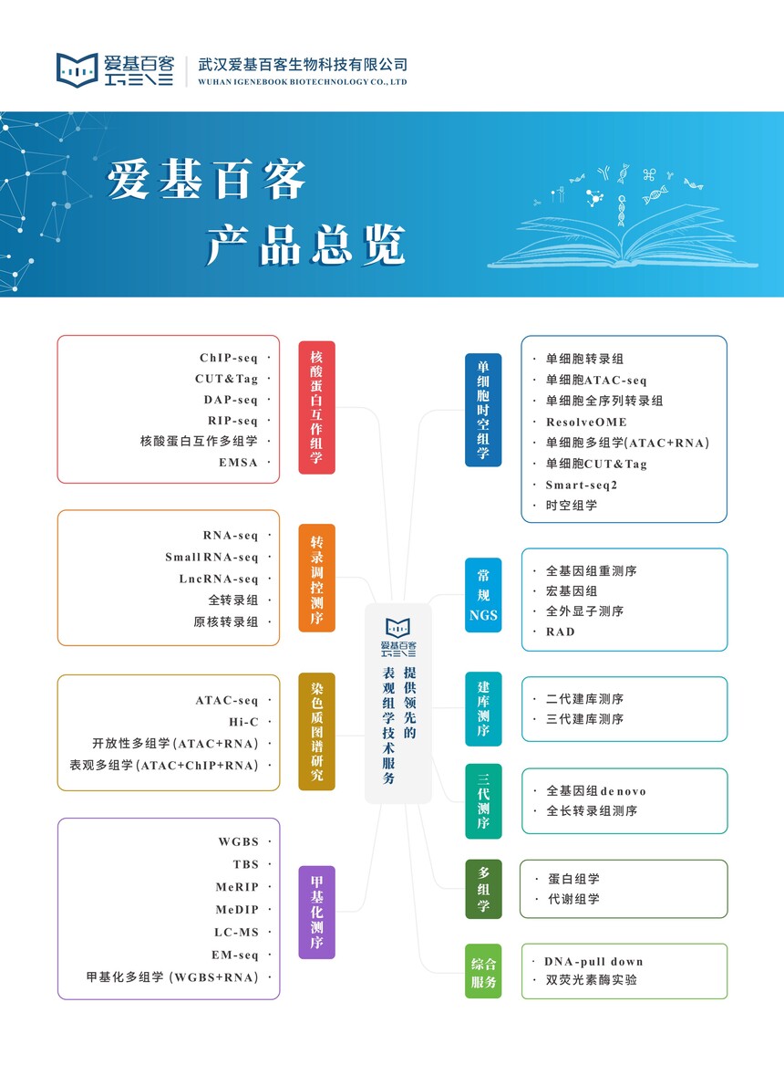 2025.06.17 产品总览-2.jpg