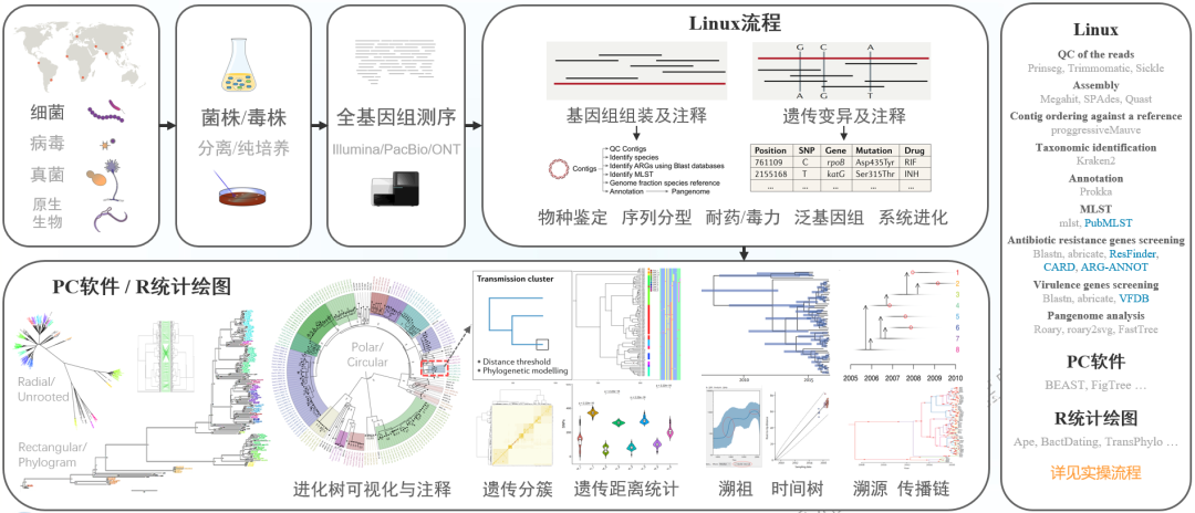 b102ad951d0c68316288a2d3e0effc38.png