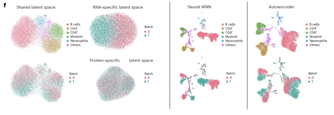 突破传统多模态整合局限！MIT提出APOLLO框架，实现细胞共享与特异性信息明确分离