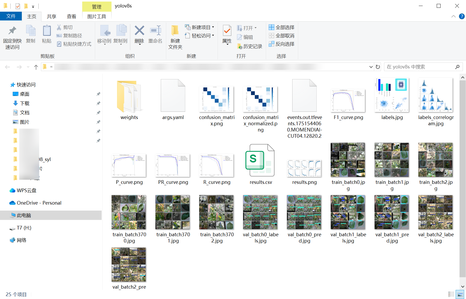 15_apple_disease_det-weights_folder_screenshot.png