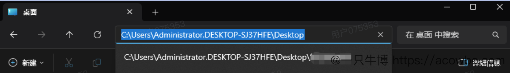 image-20260113173014132