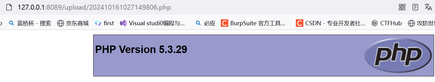 image-20241017164325663