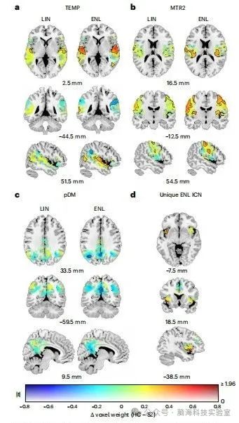 Nature Mental Health：研究人员发现了使用 fMRI 扫描识别精神障碍特征的新方法-CSDN博客