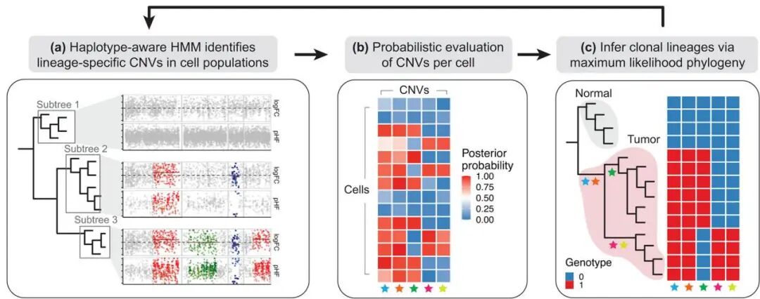 361dff7475a016ac08203c496729b5c7bb51ae4656a65d8ae5e821b1bb8f16d2