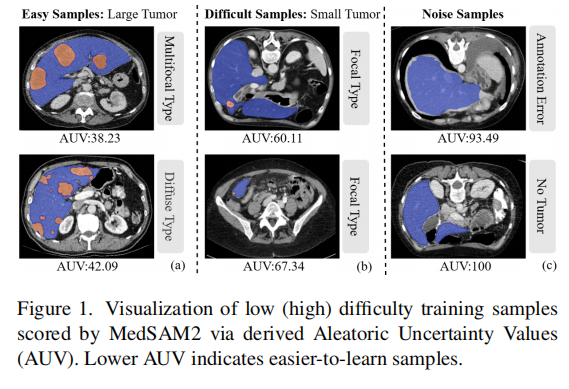 image-20260813082324930