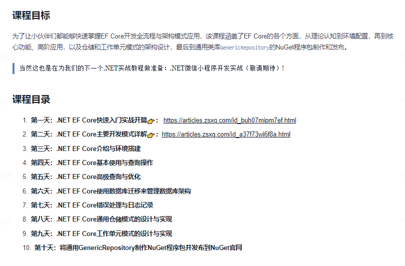 企业应用开发中.NET ORM EF常用哪种模式？