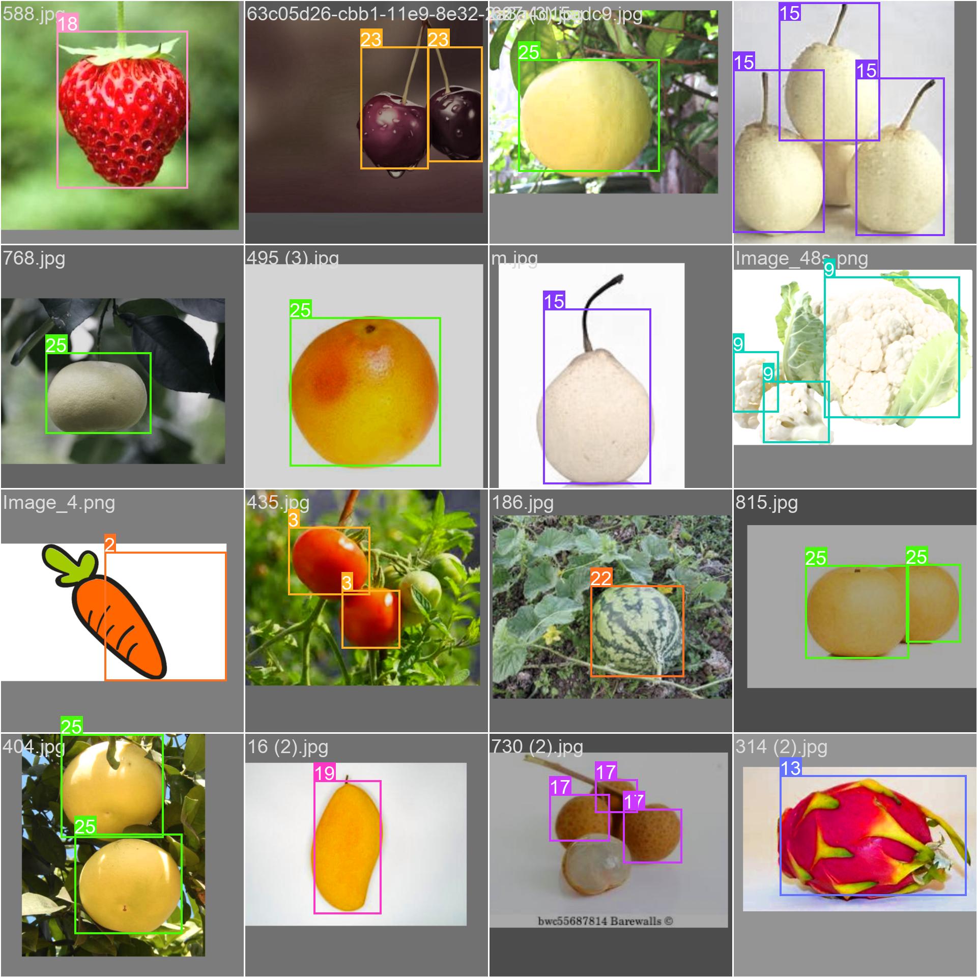 11_fruit_vegetable_detect-train_batch0.jpg