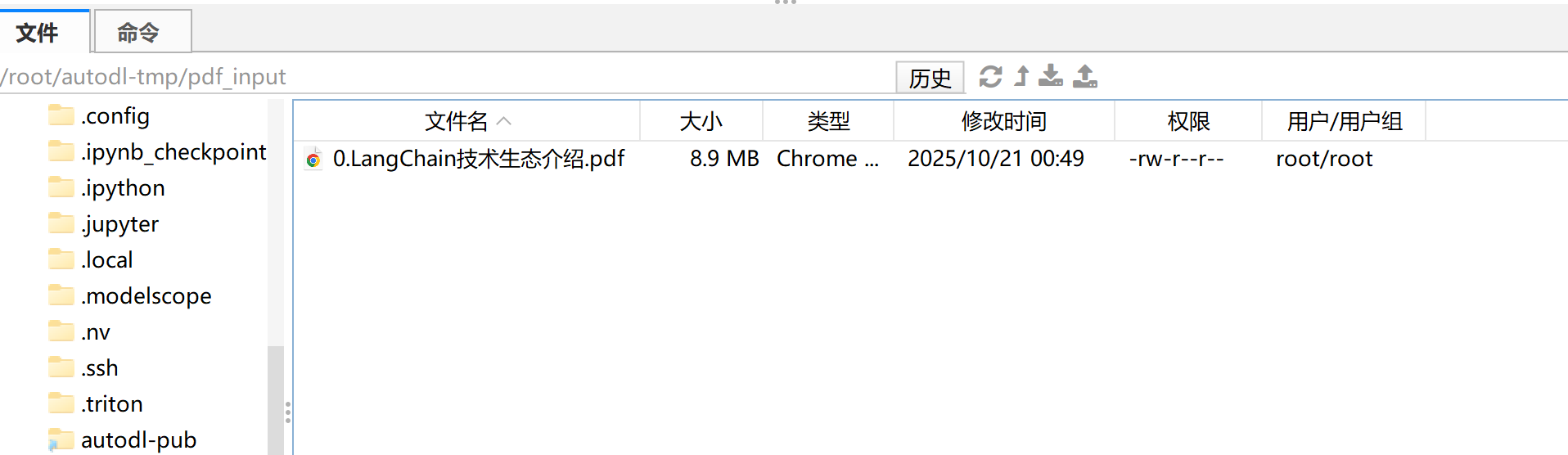 image-20251021195250282