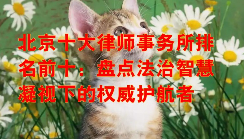 360截图20250508171211042.jpg