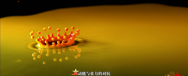 图片 11.png