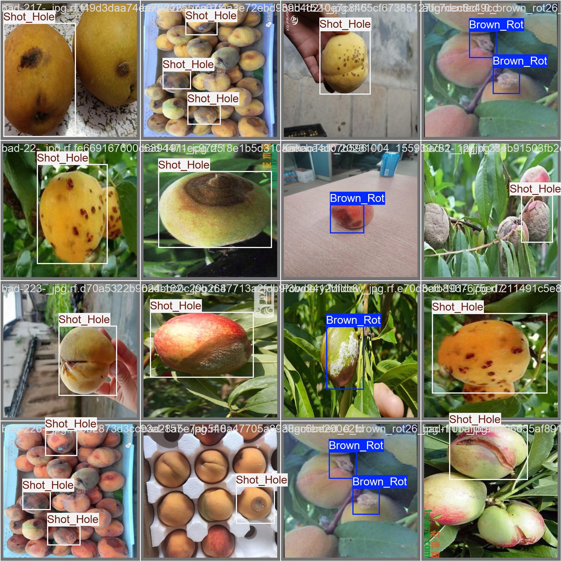 val_batch1_labels.jpg