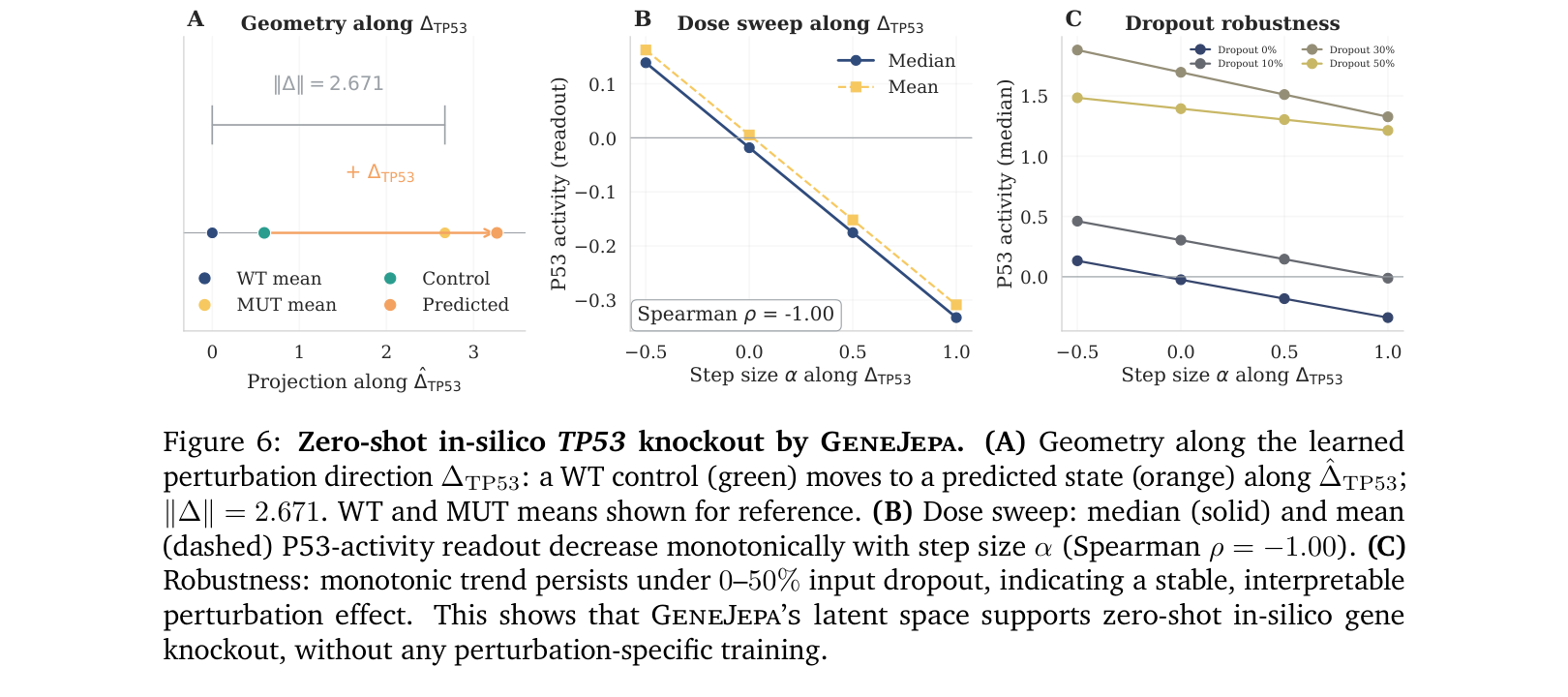 图 6：GeneJepa 通过隐空间向量平移实现 zero-shot TP53 敲除模拟