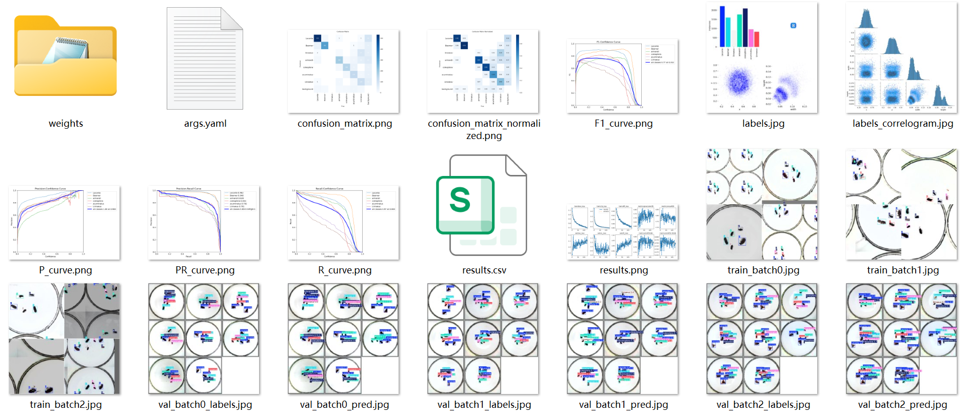 image-20250719165306874