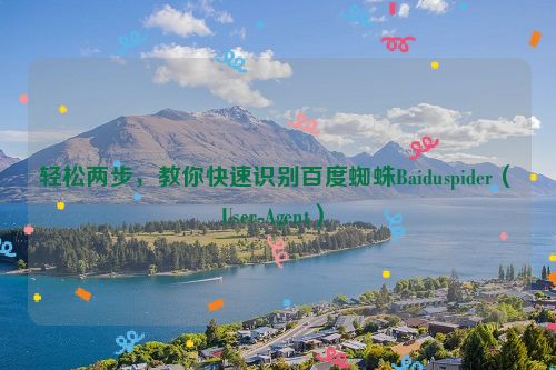 轻松两步，教你快速识别百度蜘蛛Baiduspider（User-Agent）