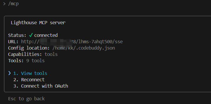 在 Codebuddy 中查看已连接的 MCP