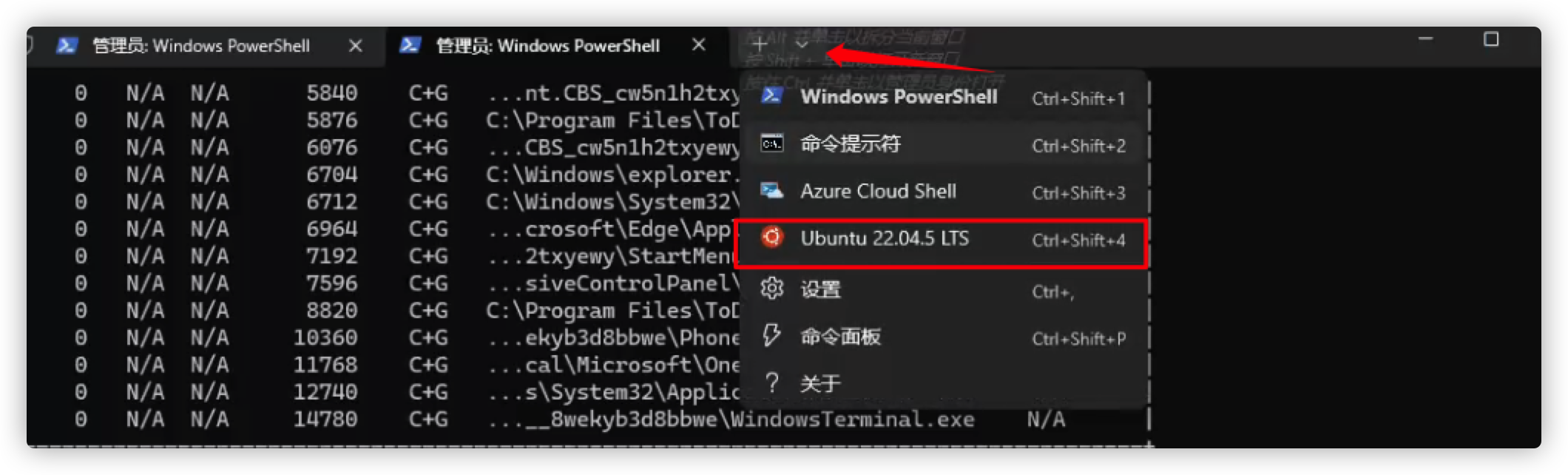 image-20241011183844962