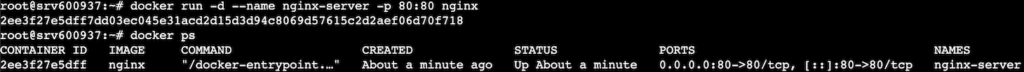 Terminal window with docker run command executed and docker ps command returning a running nginx container